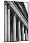 Illinois Capitol Columns BW-Steve Gadomski-Mounted Photographic Print