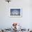 Illinois, Chicago. Ferris Wheel at Navy Pier-Jaynes Gallery-Framed Photographic Print displayed on a wall