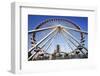 Illinois, Chicago. Ferris Wheel at Navy Pier-Jaynes Gallery-Framed Photographic Print