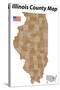 Illinois County Map-malachy120-Stretched Canvas