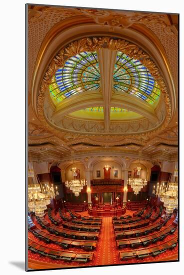 Illinois House Chamber-Steve Gadomski-Mounted Photographic Print