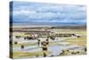 Illinois River Meanders through Arapaho National Wildlife Refuge, North Park near Walden, Colorado,-PixelsAway-Stretched Canvas