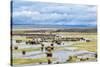 Illinois River Meanders through Arapaho National Wildlife Refuge, North Park near Walden, Colorado,-PixelsAway-Stretched Canvas