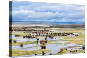 Illinois River Meanders through Arapaho National Wildlife Refuge, North Park near Walden, Colorado,-PixelsAway-Stretched Canvas