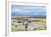 Illinois River Meanders through Arapaho National Wildlife Refuge, North Park near Walden, Colorado,-PixelsAway-Framed Photographic Print