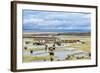 Illinois River Meanders through Arapaho National Wildlife Refuge, North Park near Walden, Colorado,-PixelsAway-Framed Photographic Print