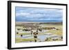 Illinois River Meanders through Arapaho National Wildlife Refuge, North Park near Walden, Colorado,-PixelsAway-Framed Photographic Print