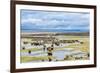 Illinois River Meanders through Arapaho National Wildlife Refuge, North Park near Walden, Colorado,-PixelsAway-Framed Photographic Print