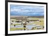 Illinois River Meanders through Arapaho National Wildlife Refuge, North Park near Walden, Colorado,-PixelsAway-Framed Photographic Print