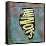 Illinois-Art Licensing Studio-Framed Stretched Canvas