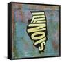 Illinois-Art Licensing Studio-Framed Stretched Canvas