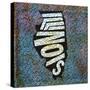 Illinois-Art Licensing Studio-Stretched Canvas