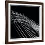 Illuminated (8)-Jacob Berghoef-Framed Photographic Print