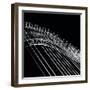 Illuminated (8)-Jacob Berghoef-Framed Premium Photographic Print