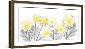 Illuminated Brilliance 1-Albert Koetsier-Framed Photographic Print