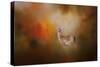 Illuminated by the Autumn Light-Jai Johnson-Stretched Canvas