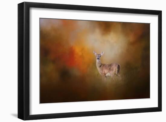 Illuminated by the Autumn Light-Jai Johnson-Framed Giclee Print