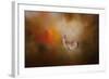 Illuminated by the Autumn Light-Jai Johnson-Framed Giclee Print