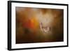 Illuminated by the Autumn Light-Jai Johnson-Framed Giclee Print