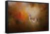 Illuminated by the Autumn Light-Jai Johnson-Framed Stretched Canvas