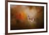 Illuminated by the Autumn Light-Jai Johnson-Framed Giclee Print