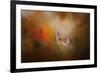 Illuminated by the Autumn Light-Jai Johnson-Framed Giclee Print