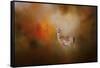 Illuminated by the Autumn Light-Jai Johnson-Framed Stretched Canvas