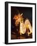 Illuminated Chinese Dragon on New Year's Eve, Hong Kong, China-Dallas and John Heaton-Framed Photographic Print