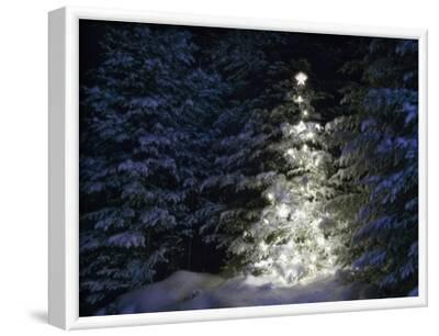 'Illuminated Christmas Tree in Snow' Photographic Print - Larry ...
