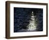 Illuminated Christmas Tree in Snow-Larry Williams-Framed Photographic Print