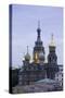 Illuminated Domes of Church of the Saviour on Spilled Blood, St. Petersburg, Russia-Gavin Hellier-Stretched Canvas