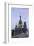 Illuminated Domes of Church of the Saviour on Spilled Blood, St. Petersburg, Russia-Gavin Hellier-Framed Photographic Print