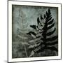 Illuminated Ferns I-Megan Meagher-Mounted Art Print