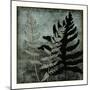 Illuminated Ferns I-Megan Meagher-Mounted Art Print