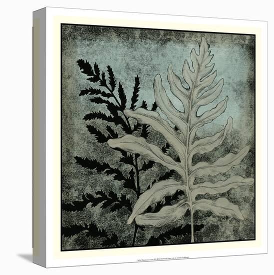 Illuminated Ferns II-Megan Meagher-Stretched Canvas