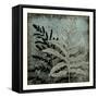 Illuminated Ferns II-Megan Meagher-Framed Stretched Canvas