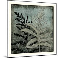 Illuminated Ferns II-Megan Meagher-Mounted Art Print
