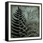 Illuminated Ferns III-Megan Meagher-Framed Stretched Canvas