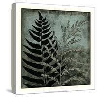 Illuminated Ferns III-Megan Meagher-Stretched Canvas