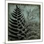 Illuminated Ferns III-Megan Meagher-Mounted Art Print