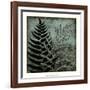 Illuminated Ferns III-Megan Meagher-Framed Art Print