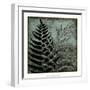 Illuminated Ferns III-Megan Meagher-Framed Art Print