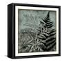 Illuminated Ferns IV-Megan Meagher-Framed Stretched Canvas