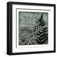 Illuminated Ferns IV-Megan Meagher-Framed Art Print