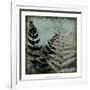 Illuminated Ferns V-Megan Meagher-Framed Art Print