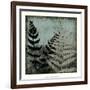 Illuminated Ferns V-Megan Meagher-Framed Art Print