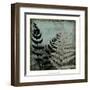 Illuminated Ferns V-Megan Meagher-Framed Art Print