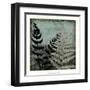 Illuminated Ferns V-Megan Meagher-Framed Art Print