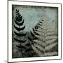 Illuminated Ferns V-Megan Meagher-Mounted Art Print