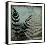 Illuminated Ferns V-Megan Meagher-Framed Stretched Canvas